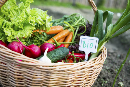 生态种植健康生物蔬菜篮子图片