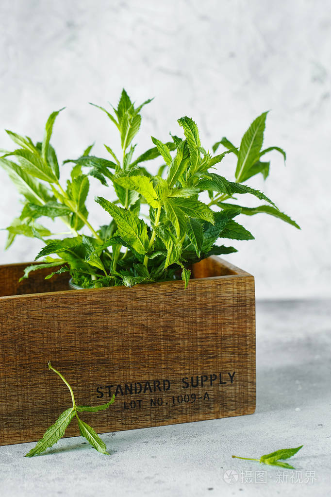 greenmintincrateongreybackfroundfreshmintcloseupin