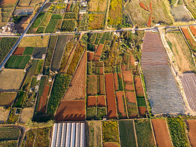 农业田地农业概念农场.种植植物和蔬菜的田地和温室.空中俯视图照片