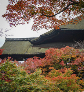 日本京都清水正孝寺图片