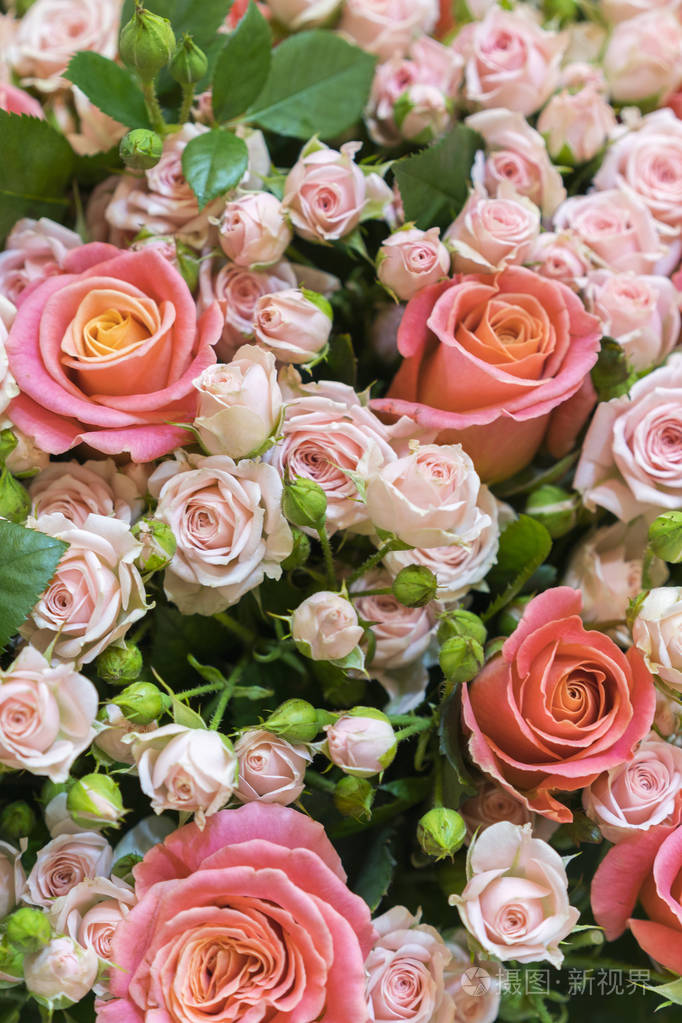 美丽的新鲜红玫瑰和粉红玫瑰一束美丽的玫瑰花垂直照片