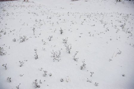 冬天积雪下的简易乡村篱笆图片