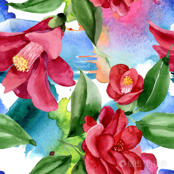 红色山茶花植物花。水彩背景插图集。无缝背景图案。