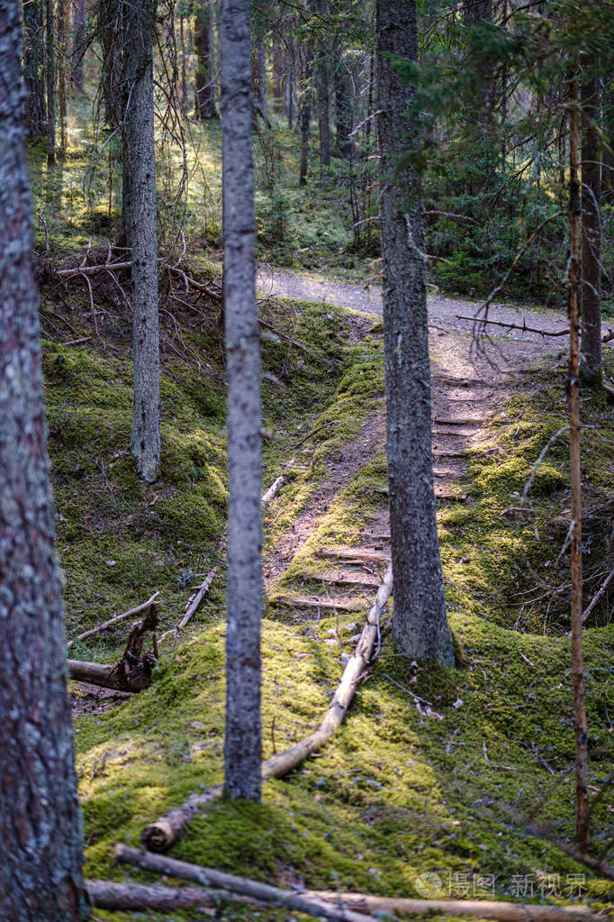 乡间森林里上山的木楼梯照片-正版商用图片2kdwzh-摄图新视界