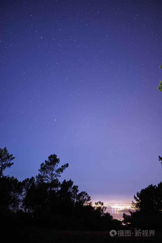 星光灿烂的森林里的夜空
