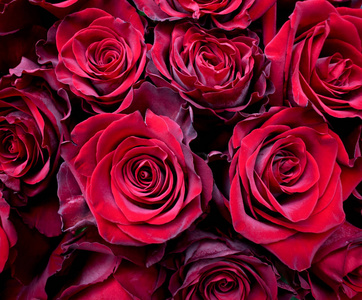 顶视图在木桌的红玫瑰花束.与复制空间的顶视图.