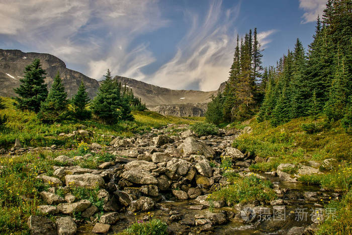加拿大亚伯达省贾斯珀国家公园落基山脉小铲口周围的山谷