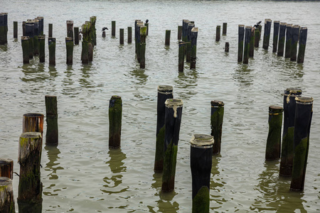 纽约曼哈顿哈德逊河的木杆图片