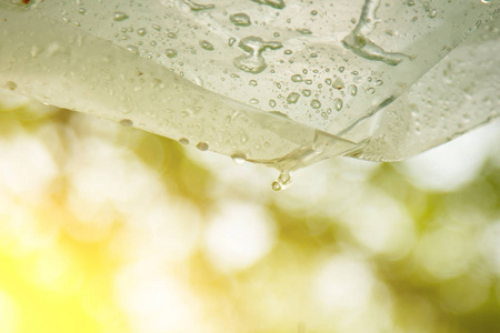 雨后的水滴从聚乙烯薄膜上流下来,对着室外的一个棚屋.