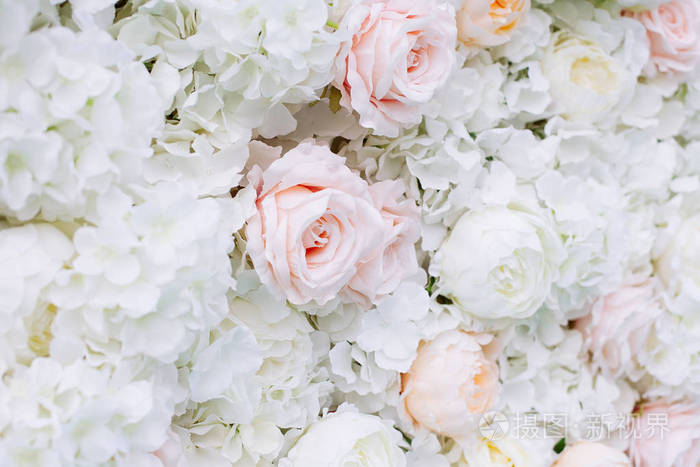 Flowers wall background with white and light orange roses. 