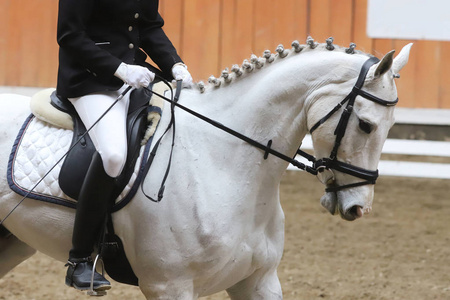 portraitofasporthorseduringdressagecompetitionundersad