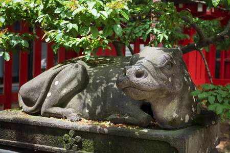 福冈水桥天目神社躺着的牛图片