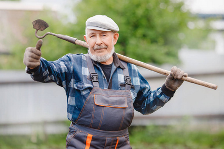 刨土上了年纪的老人在土豆地里用锄头刨土.概念生态农场,农业照片