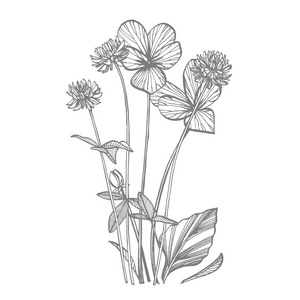 野花野草图片 野花野草素材 野花野草插画 摄图新视界 野花野草图片 野花野草素材 野花野草插画 摄图新视界