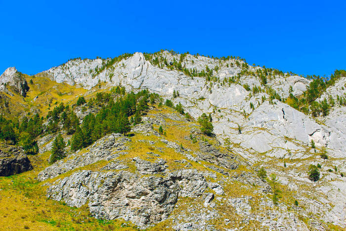 森林和山脉横向.顶部查看.山峦蔚蓝.自然之美.景观.复制空间背景.