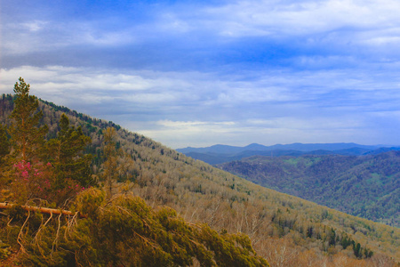 山地松林.神奇的大自然.森林.花.自然.山森林.风景光与影中的山.