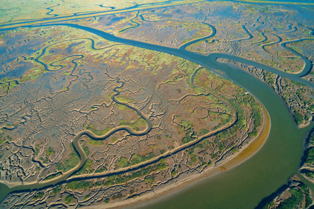 区域贝尔加利福尼亚州红木市贝尔岛海洋公园河口,照片