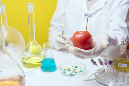 上检测水果水果实验室测试食品安全测试一群有趣的栗子动物在树桩上