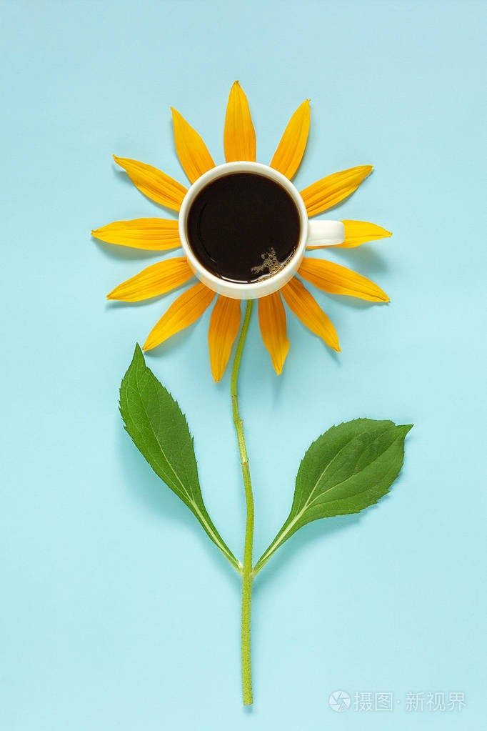 一杯黑咖啡和黄色花瓣茎状花创意平铺俯视复制空间早上好