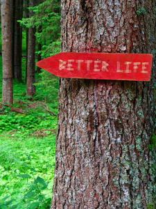 森林里美好生活的木制标牌图片