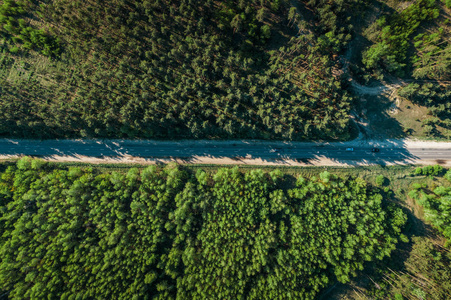 胯之间俯视空中俯视沥青路之间的绿色夏季森林,无人机拍摄照片