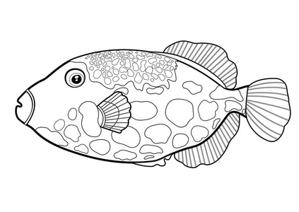 鱼小丑鱼,线轮廓卡通手绘海洋动物,轮廓海洋人物,着色,素描.