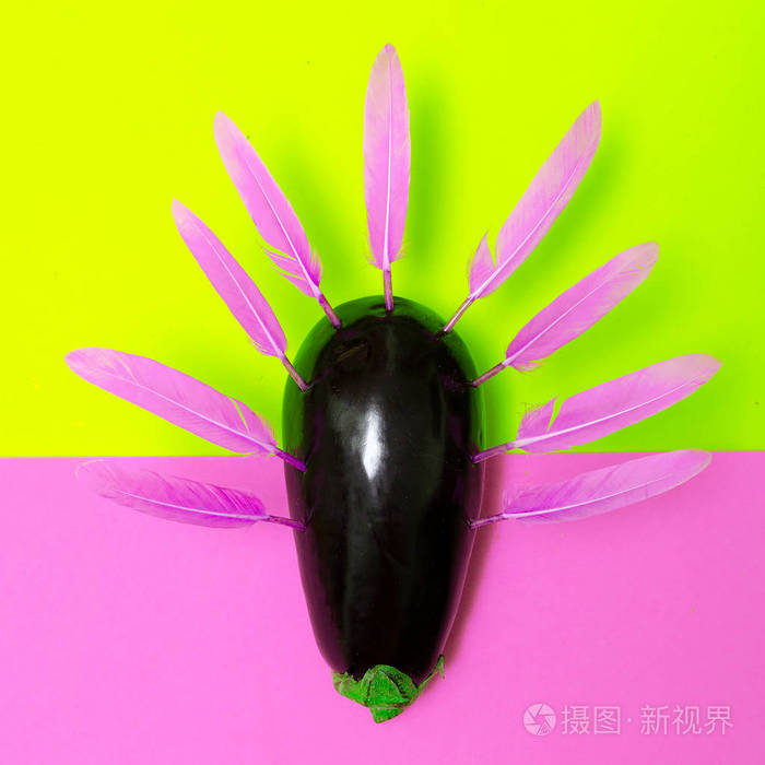 有羽毛的创意茄子最小糖果平面艺术