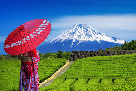 富士山和服穿着日本传统和服的亚洲妇女在富士山和静冈的绿茶种植园.