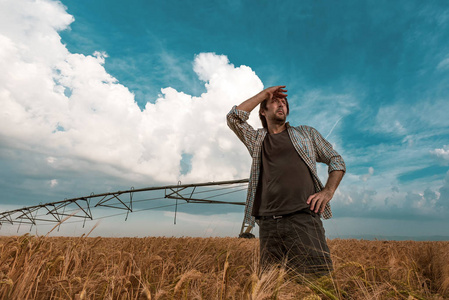 大风天大麦地里忧心忡忡的农民图片