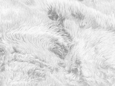 蓬松的棉白色柔软棉羊绒蓬松毛皮地毯纹理背景照片