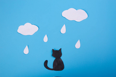 孤独的流浪猫图片