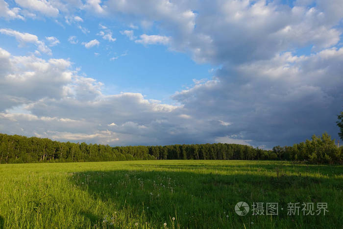 美丽的风景。绿色的田野和多云的天空。俄罗斯中部。莫斯科地区