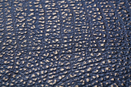 蜥蜴皮细节图片