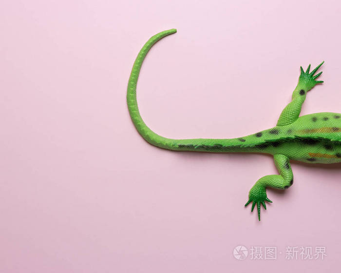 绿色蜥蜴玩具的尾巴在淡粉色的背景上最小的艺术概念