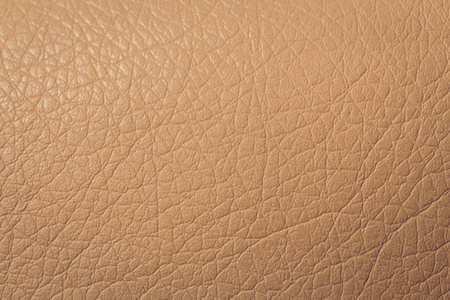 纤维棕褐色图片