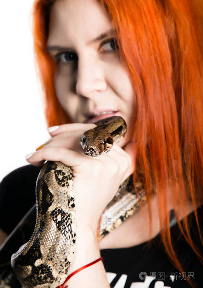 性感的红发女人抱着蛇特写照片女孩与侏儒蟒蛇在白色背景