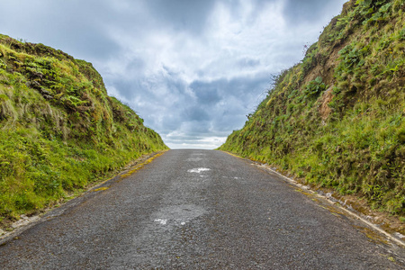 延伸的路这条路一直延伸到地平线,亚速尔群岛的圣米格尔岛照片