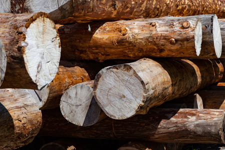 建设性地抱怨大的锯好的圆木被堆成一堆,以备准备照片