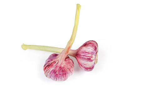 白色背景下紫色大蒜的小鳞茎照片