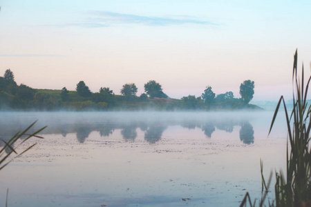 湖边芦苇丛中的晨雾图片