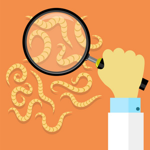 橙色背景上的一组寄生虫.照片