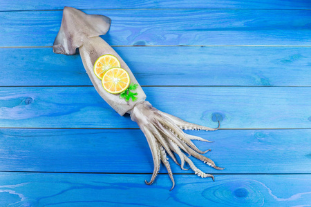 来自欧洲的受欢迎的淡水鱼,脆弱的动物种类鱿鱼(teuthida)银鱼景观生