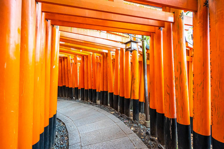 京都美丽的福世寺图片
