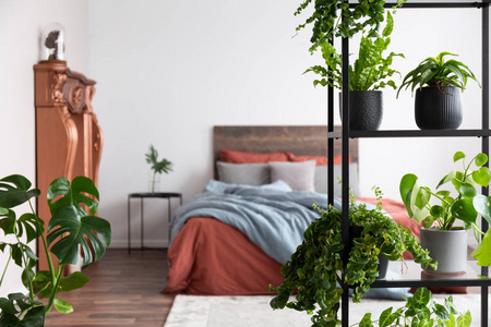 绿色盆栽站在白色的简易卧室里图片