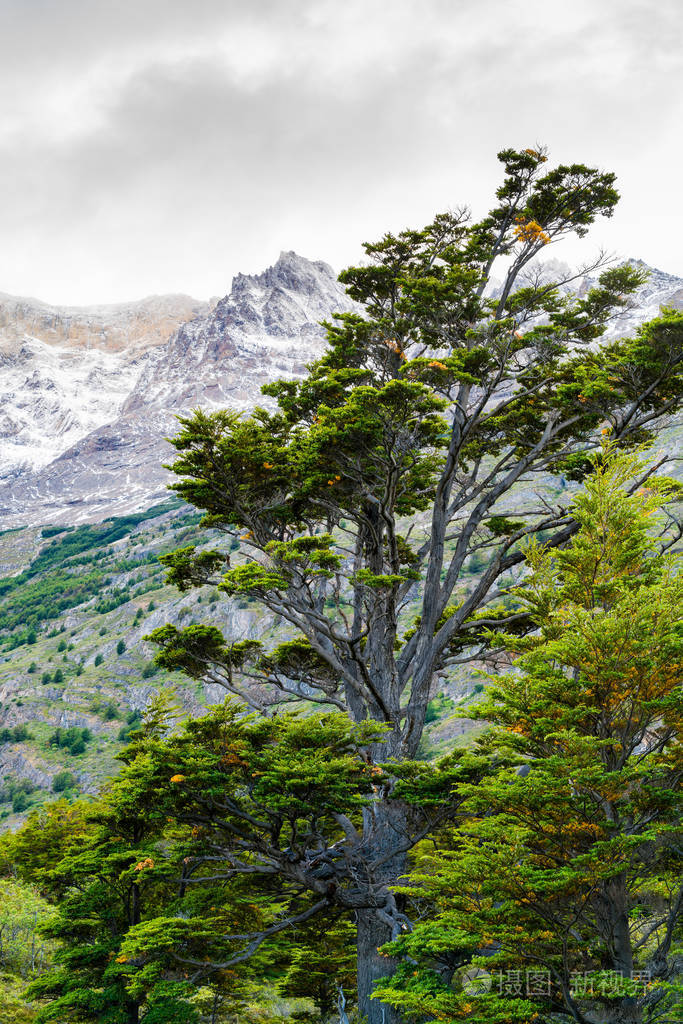 naturallandscapeattorresdelpainenationalparkinsouthern