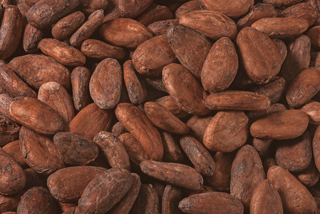 可可豆加工图片-可可豆加工素材-可可豆加工插画-摄图新视界