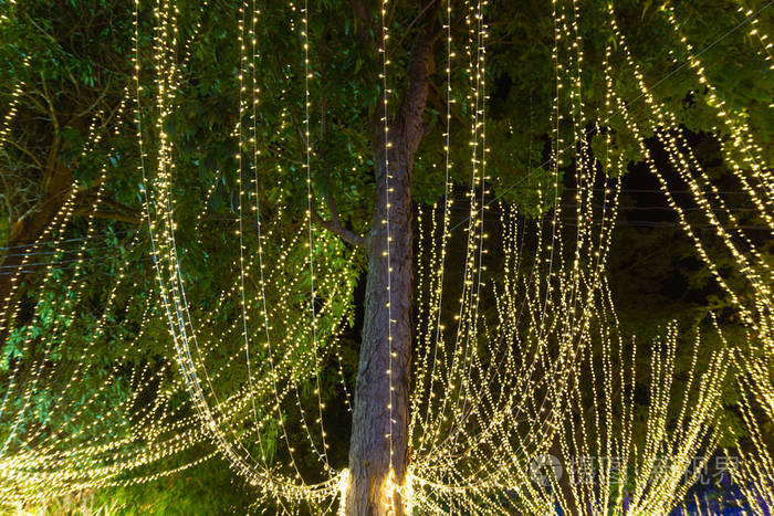 夜晚节日季节花园里挂在树上的装饰性户外串灯
