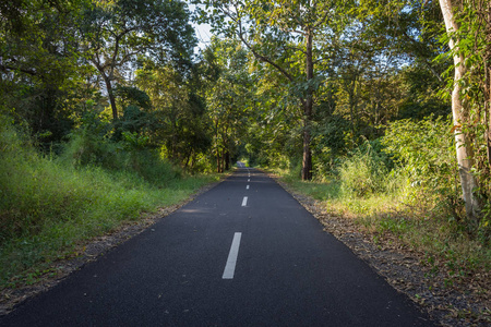 巴鲁兰国家公园是一个森林保护区,在印度尼西亚东爪哇岛的北海岸延伸
