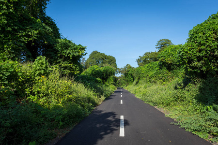 非洲范爪哇巴鲁兰的一条柏油路,周围环境优美.