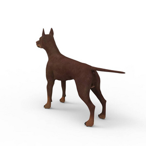 狗的三维建模图片